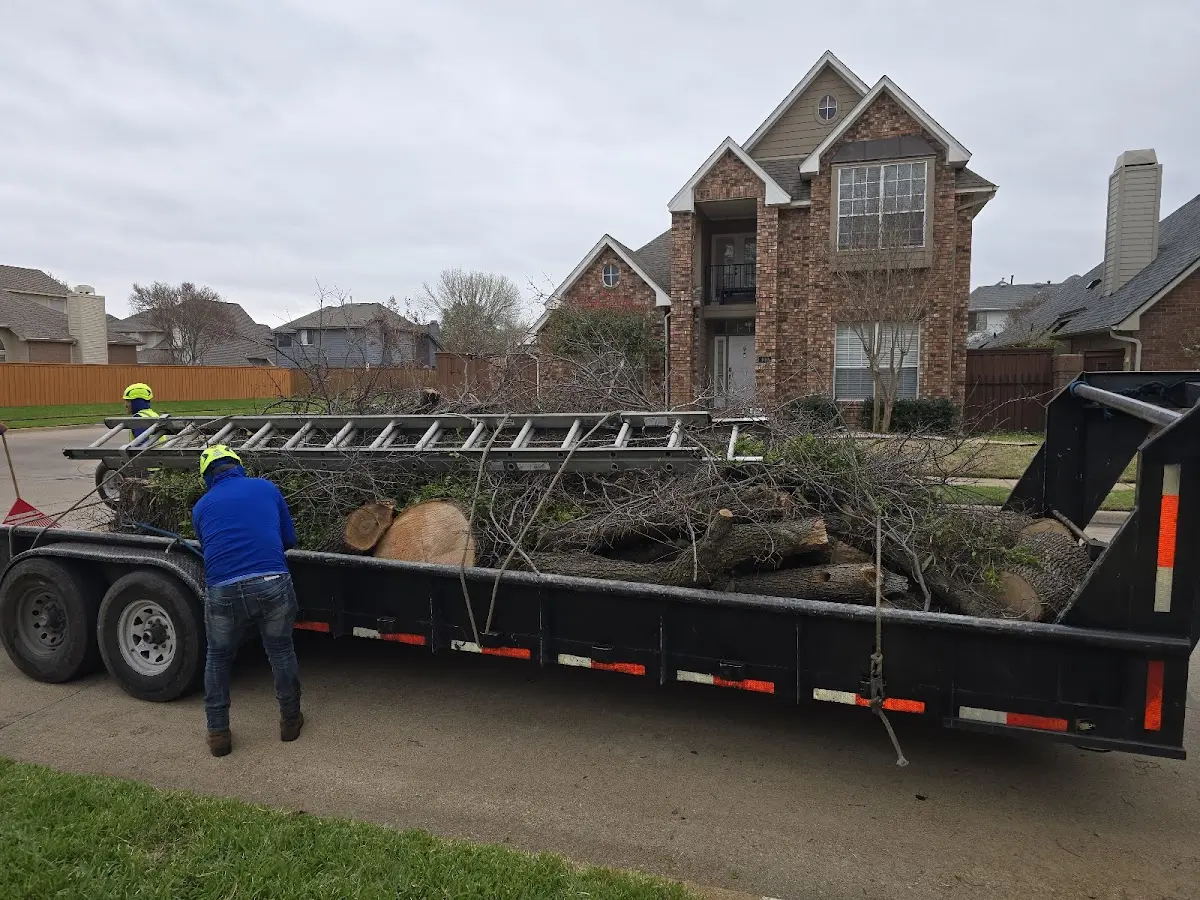 Expert Tree Removal with proper safety equipment in Hudson